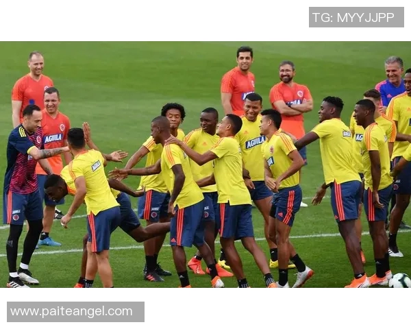 哥伦比亚足球的崛起与挑战解析以及未来发展展望